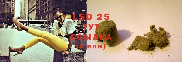 PSILOCYBIN Елизово